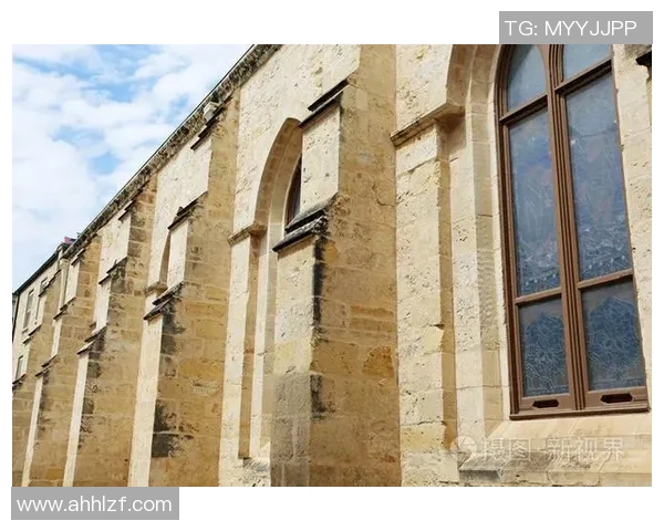 天主青年与萨斯菲历史的交汇与碰撞探讨