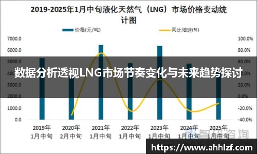 数据分析透视LNG市场节奏变化与未来趋势探讨